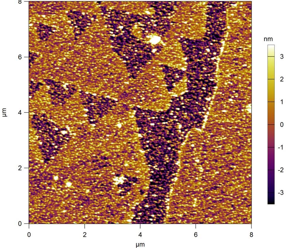 Figure S6 AFM image of PECVD-grown monolayer h-bn domains transferred