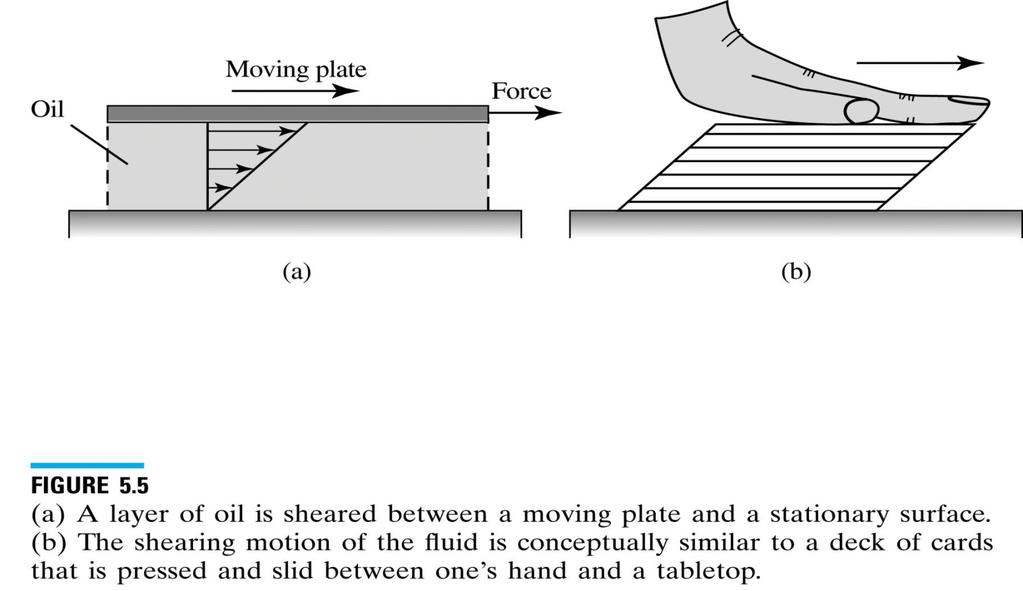 Properties of Fluids Continuous motion (flow) by shear stress No-Slip Condition