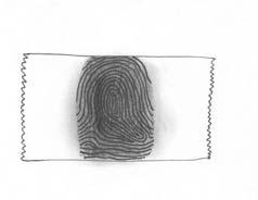 Activity Sheet for Learning Experience #17 Page 3 Examine the demonstration below on how to make your fingerprints.