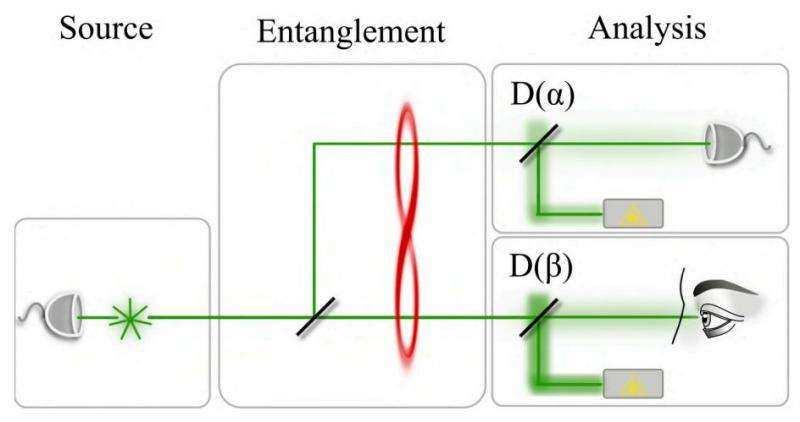 An idea for allowing the human eye to observe an instance of entanglement Scheme of the proposal for detecting entanglement with the human eye. Credit: arxiv:1602.