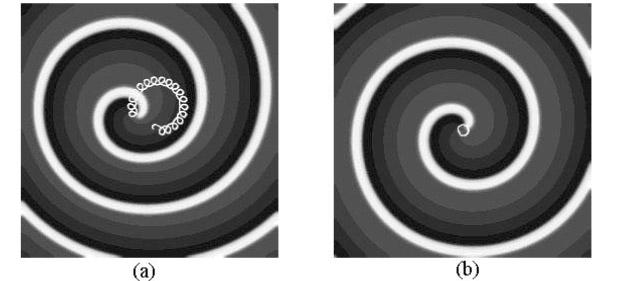 Control of spiral instabilities 1405 Fig. 9 (a) Spiral wave and its tip s motion in the homogenous media. The white curve is the trajectory of the spiral tip.
