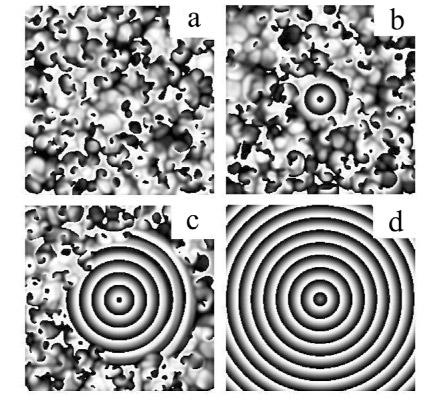 Control of spiral instabilities 1401 Fig. 5 Numerical simulation of the spiral turbulence control with a target wave. (a) t = 0, the control starts; (b) t = 450 t.u., the target wave appears; (c) t = 1000 t.