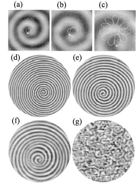 Control of spiral instabilities 1403 Fig. 7 Images illustrating the transition from a regular spiral to meandering spirals and to spiral turbulence as the malonic acid concentration is decreased.