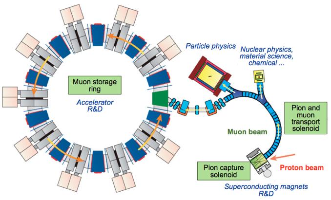 Muon Science Innovative Channel Research