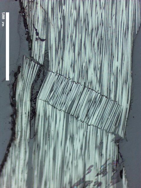 Figure 2.1: Kink band found in an experiment presented in Paper A. The scale bar indicates 5 µm formation to about 76 kj/m 2. In [8], Pinho et al.