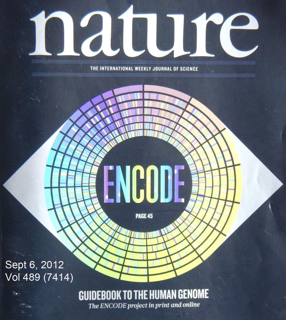 September, 2012 Results of the massive Encode Project published All or most junk DNA is