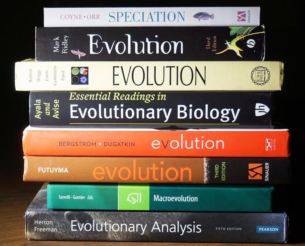 Two groups of current evolution