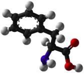 Phenylalanine, Phe (F) = benzyl hydrophobic aa