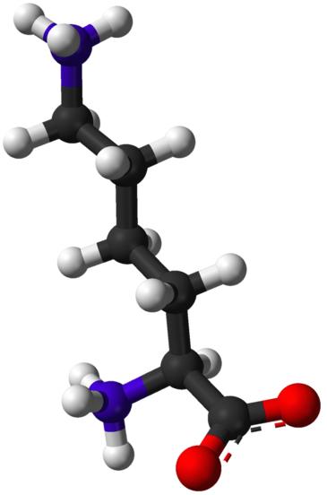 amine form shown ammonium (protonated) 2 2 C 2