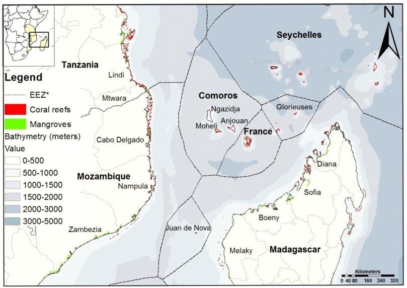 NORTHERN MOZAMBIQUE CHANNEL Sub-region of the WIO: Includes participation from: France, Madagascar, Comoros, Tanzania, Mozambique NMCI (WWF & CORDIO) Partnership approach to integrated solutions