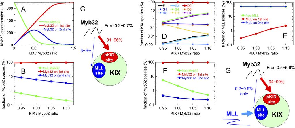 Fig. S4. (A) Concentrations of various Myb3 species dependent on a KIX:Myb3 concentration ratio from 0 to 1.5 at 0.7 mm Myb3.