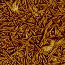 Atomic Force Micrographs (AFM) of intact cellulose nanocrystals.
