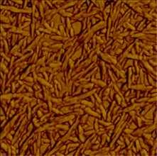 Atomic Force Micrographs (AFM) of two types of broken cellulose