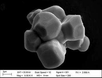 The SEM photomicrographs of PT calcined powders between 600 and 900 ºC are