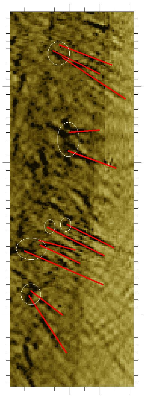 Fig. 2 Negative sub -frame of figure 1 showing crossing spicules and bright points, red lines show the trajectory of spicules and the chromospheric network bright points (root of spicules) are marked