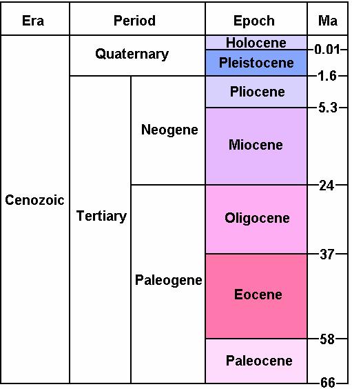 The Cenozoic Era The Cenozoic is the shortest era of the Phanerozoic Eon.