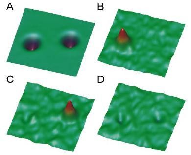 Single-molecule vibrational microscopy: chemical contrast const.