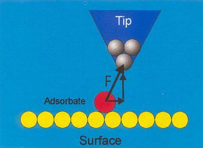 Applied Physics A 68, 15 (1999) First the tip is approached close to the