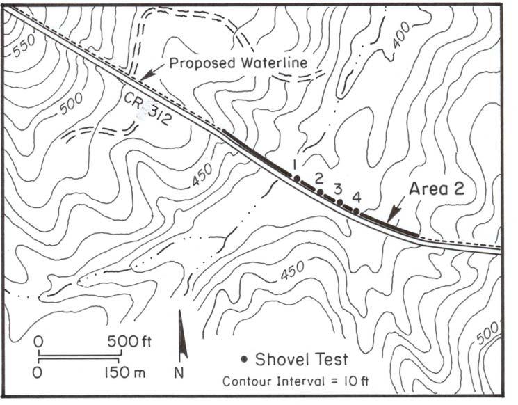 Area 2 This area is a creek crossing on the north side of County Road 312 and both banks of an unnamed tributary of Caddo Creek from the western upland margin to the eastern upland margin (Figure 5).