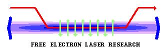 Free Electron Laser To-day interest: Estention toward soft and hard X-ray Two