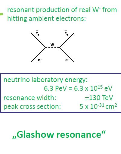 Neutrino cross sections Only