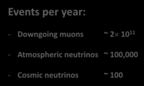 Cosmic neutrinos ~ 100 2450m