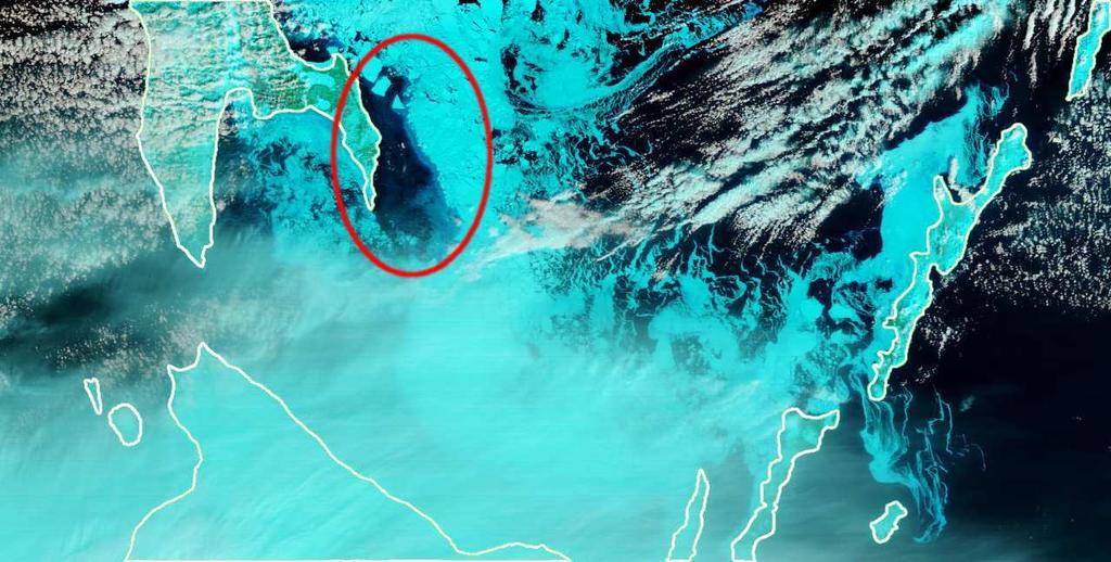 The red ellipse marks a region of open water which is clearly visible in the ASI ice concentrations and the MODIS false color image of that day (right image) but is not visible in the Bootstrap data