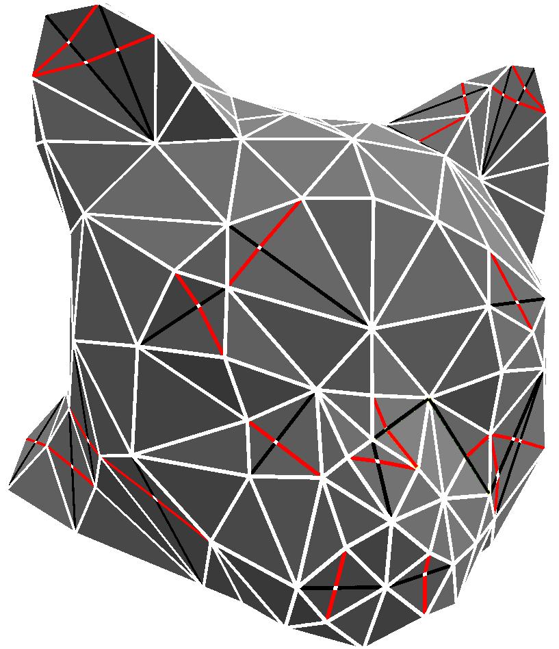 Applications: Intrinsic Delaunay Triangulation white - original edges black -