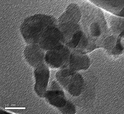 The average size of the nanoparticles is 15 nm and some of the particles were in the shape of triangle and hexagonal.