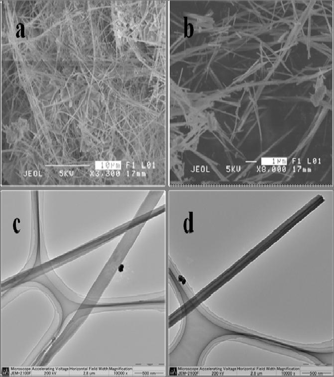 88 nanowires is in the range of few micrometres. In order to elucidate the length, high magnification TEM images were taken.