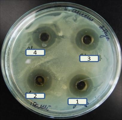 10: Antibacterial activity of Ag Nanoparticles (Nps) A) Against E.coli B) Against S.aureus C) Against S.