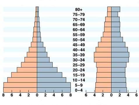 Question 3. POPULATION STUDIES A. Population Pyramids Pyramid A Males Females Age Pyramid B Males Females % of population % of population www.affordablehousinginstitute.