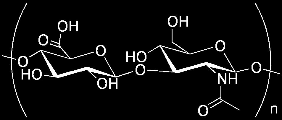 Hyaluronan (hyaluronic acid, HA) chain of sugars, total molecular weight: 6 u contour length: µm; persistence