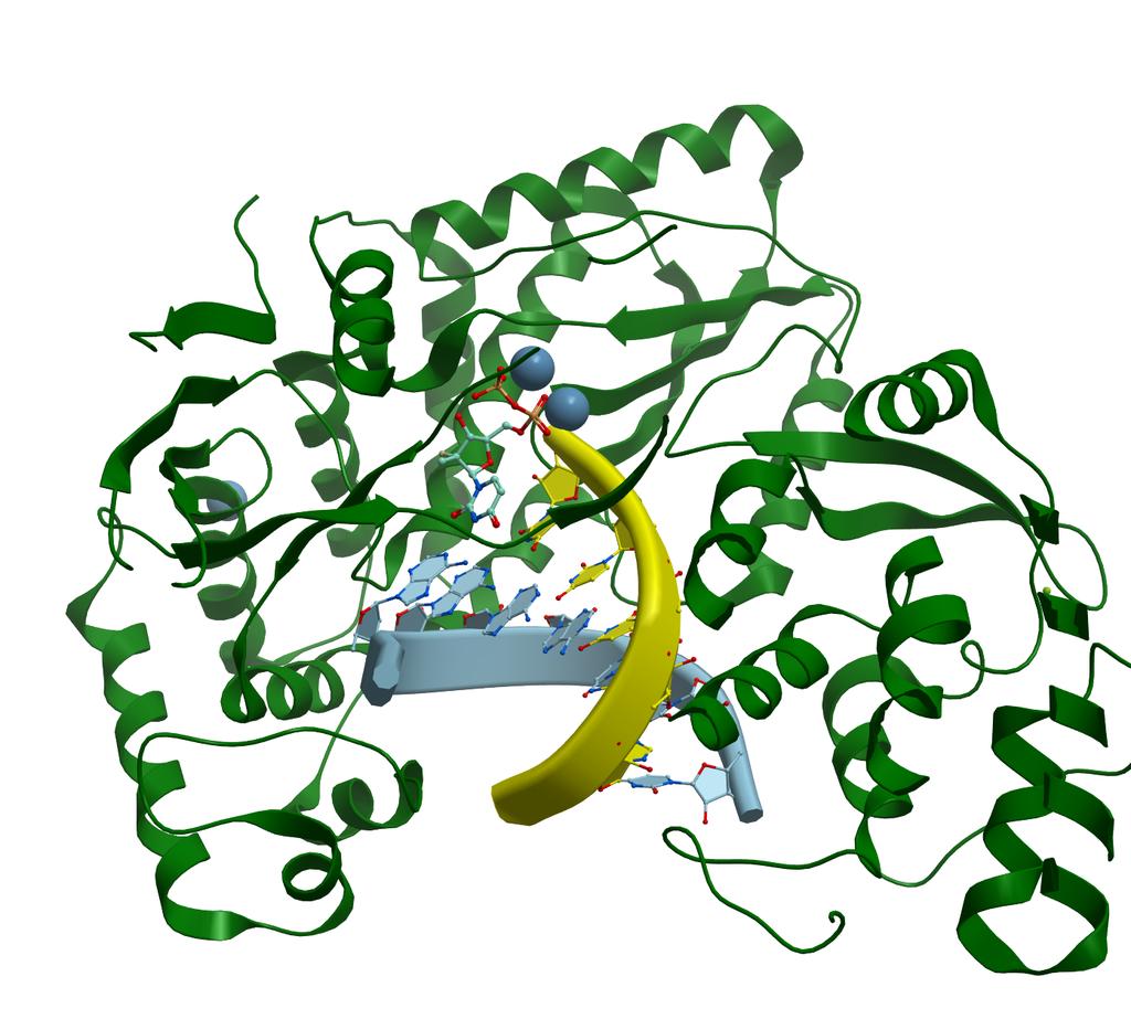 Drug targets, Protein Structures and Crystallography