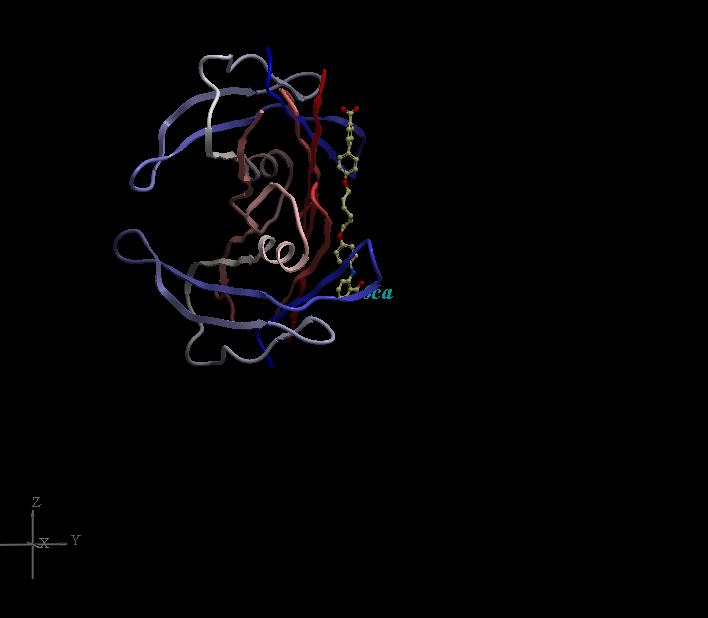 Unit Cell Example Transthyretin binds drugs, transports thyroxine (T4). 2flm (1.