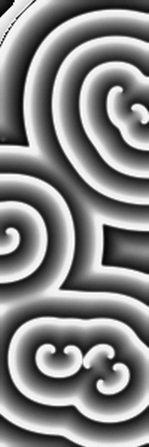 Making spirals - simulations We can simulate spirals on a computer by solving the equations for the FKN mechanism and adding