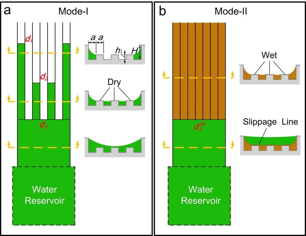 Supplementary Figure 8. Schematic models of water transport in two different modes. (a) Model of water transport Mode-I.