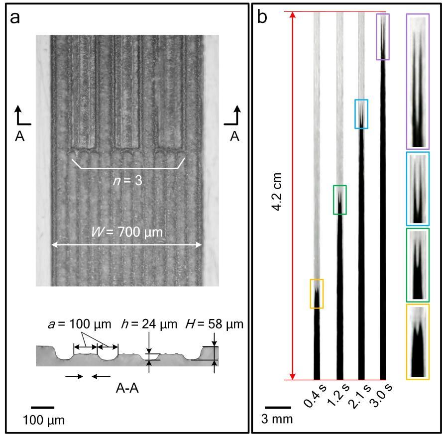 Supplementary Figure 9. Long-distance succeeding transport of Mode-II in PMMA hierarchical micro-channels. (a) Optical images of PMMA hierarchical micro-channels.