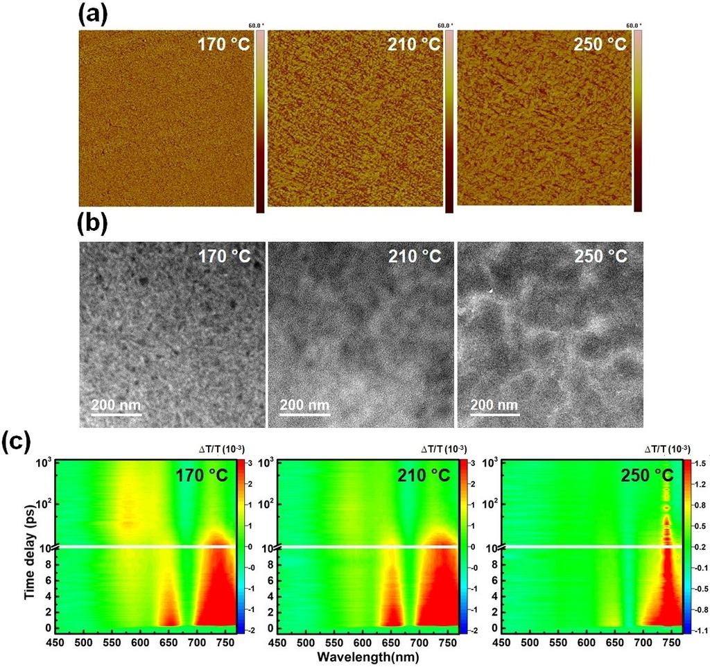 Fig. S26 (a) AFM phase images, (b) TEM images, and (c) transient absorption (TA) dynamics recorded