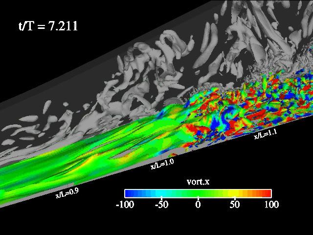 Boundary layer of Simulation F4 (made visible using an iso-surface surface of the spanwise vorticity) Vortical