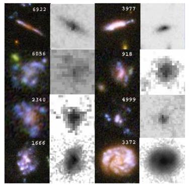 High-z disk galaxies (z~1-5)