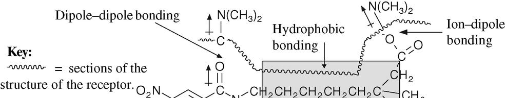 The Chemistry of the Ligand-Receptor Binding Full spectrum of