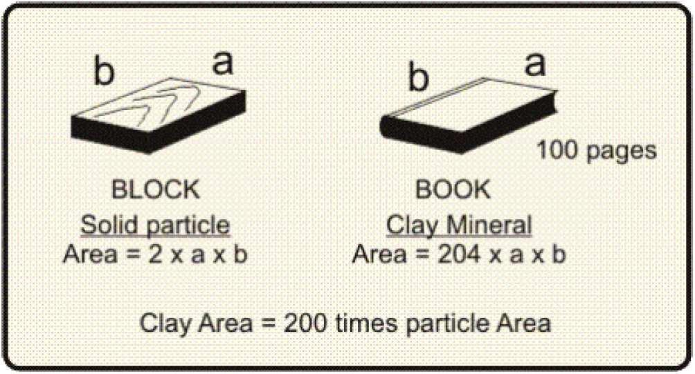 The negative clay mineral, attract cations like iron filings to a magnet and will react with water when present (the electro static forces are greater in close proximity to the clay molecule or
