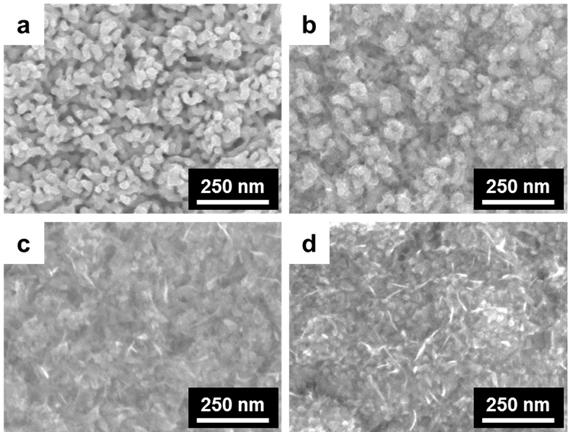 Fig. S3 SEM images of β-feooh/3d-ng which show the variations in the size of nanoparticles at