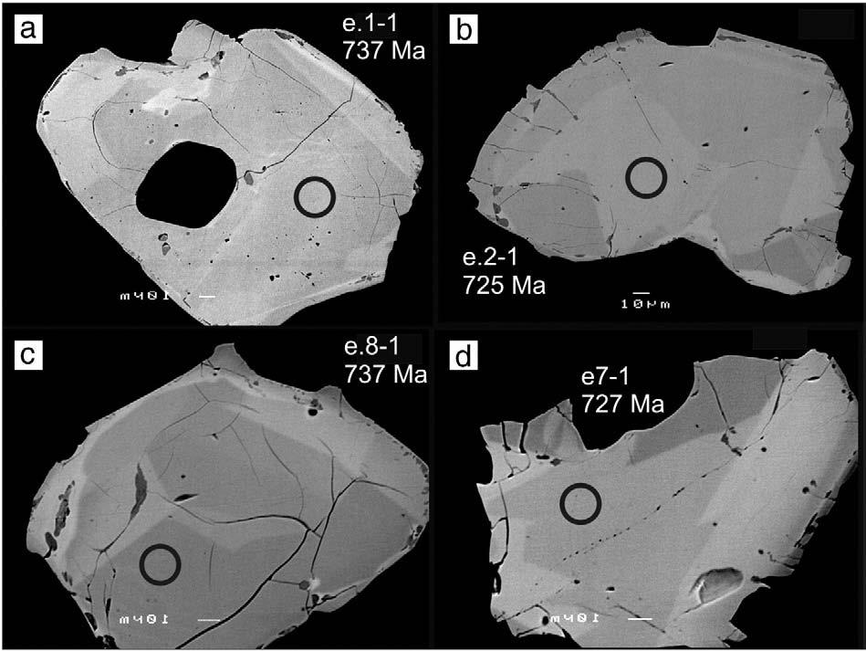 90 L.A. Hartmann et al. / Gondwana Research 19 (2011) 84 99 Fig. 8. Back-scattered electron images of zircon crystals from sample SL2, orthogneiss, Vila Nova gneisses, Cambaí Complex.