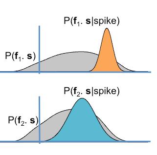Maximally informative dimensions Sharpee, Rust and Bialek, Neural Computation, 24 Choose filter in order to maximize D KL between spike-conditional and prior distributions Equivalent to maximizing