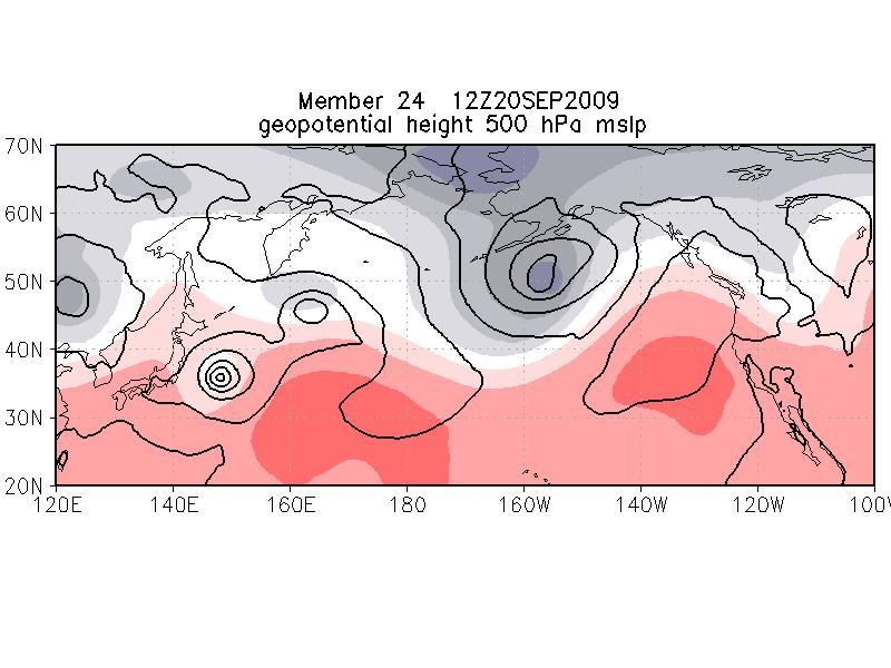 merging with preexisting extratropical cyclone influenced impact on midlatitudes Sensitivity of