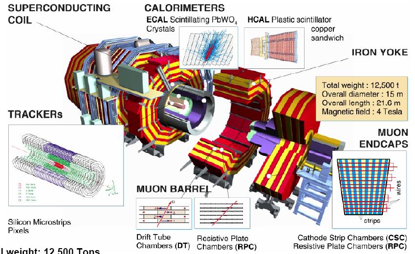 What is CMS CMS-stands for Compact Muon