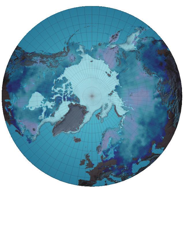 SHARED CONCERNS OF THE WORLD METEOROLOGICAL ORGANIZATION AND THE ARCTIC COUNCIL Even if research and monitoring activities in the Arctic have taken up speed, so has the need for knowledge about