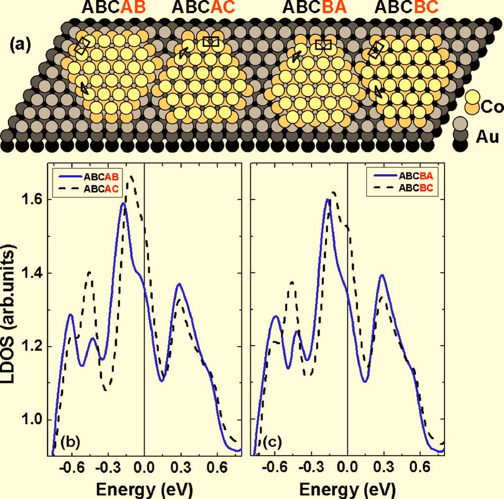 an ordered way on preferential nucleation sites pertaining to fcc and hcp zig-zag domains of the topmost atomic layer. On these domains, Co was found to grow in stable atomic bilayer clusters.